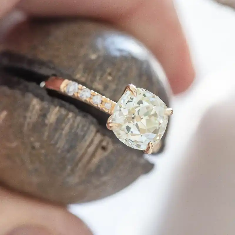 /public/photos/live/130 (1).webp